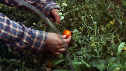 L'Esprit parc national par Cécile Andrieux – Maraîchère