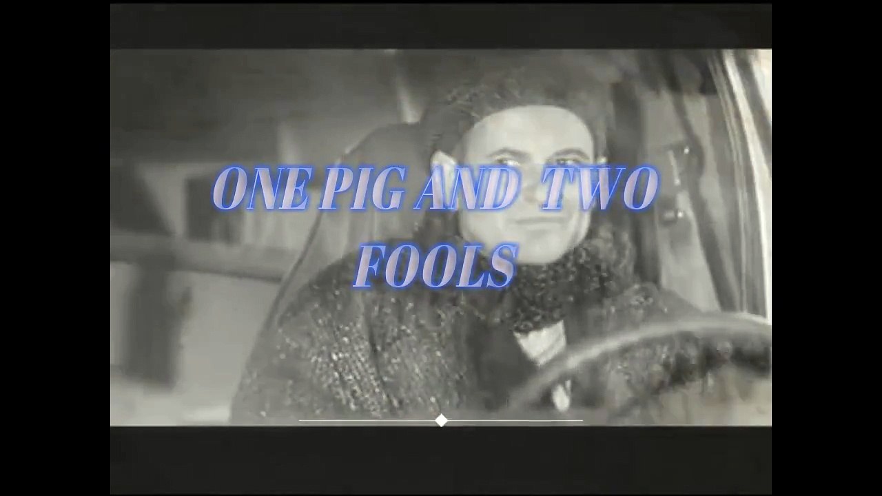 ONE_PIG_AND_TWO_FOOLS (2)