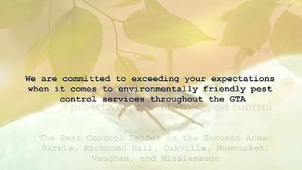 Looking For Pest control services In Toronto - Greenleafpestcontrol.com