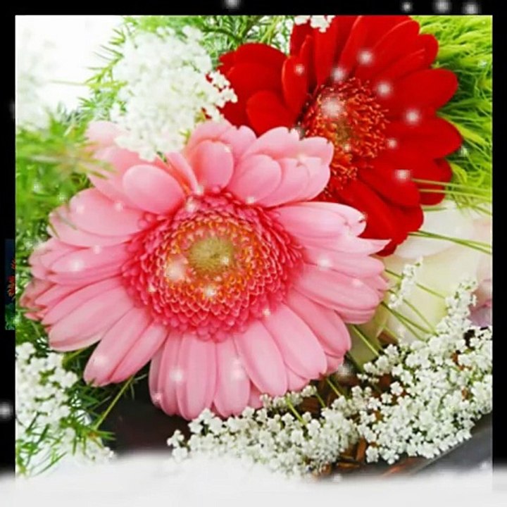 بہرام جان پشتو غمگین ٹپے