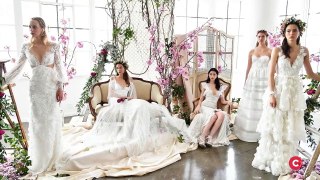 MONEY - What makes a $20K wedding dress expensive-