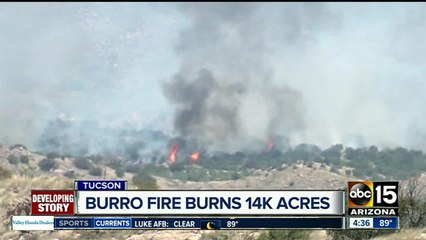 Burro Fire burning 14k acres near Tucson