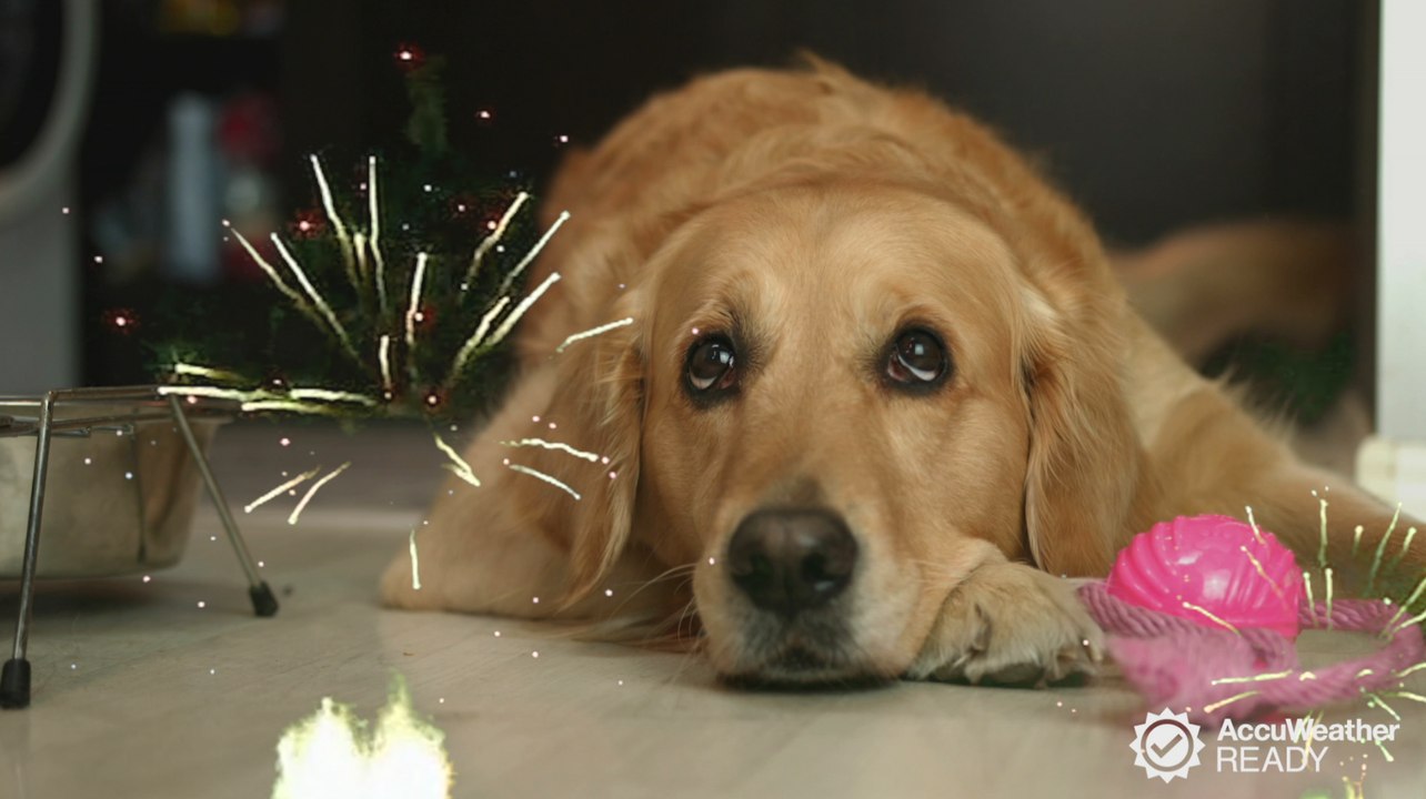 Keeping your pets calm during fireworks