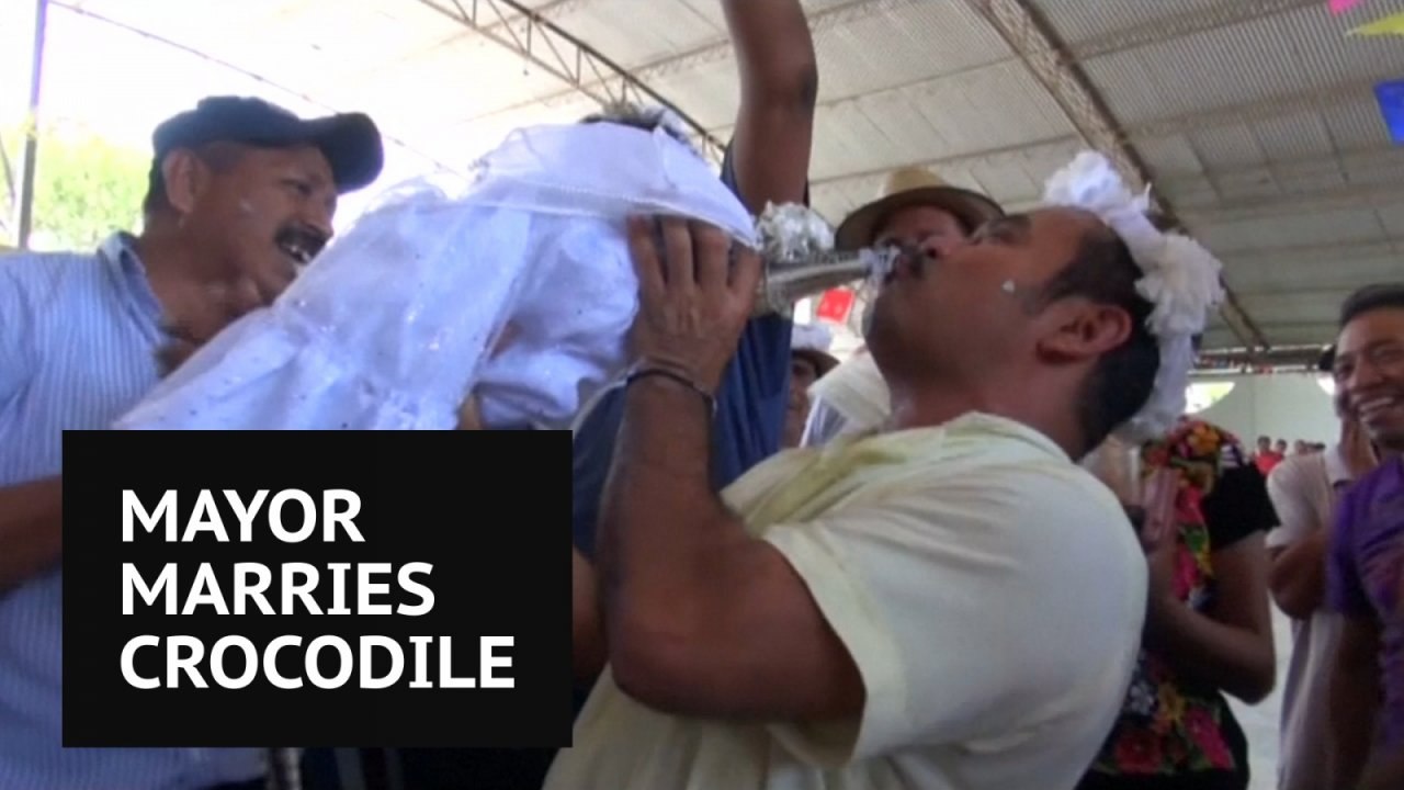 Mexican mayor weds crocodile called 'The Princess'