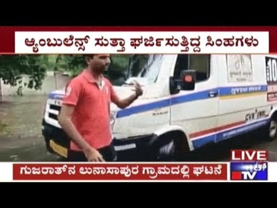 Gujrat: Pregnant Woman Gives Birth To Baby Amidst Roaring Tigers In Gir Forest