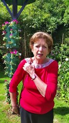 June (Leicester), Back Pain Massage, 31-May-2017