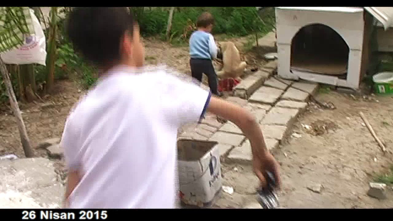 Küçük Erdem ile tatlı köpek iyi anlaşıyor