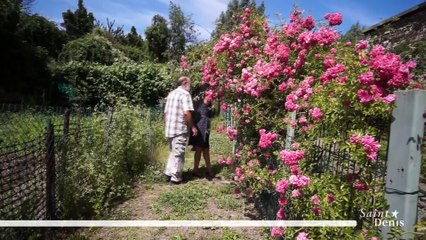 Jean-Claude et les jardins du Fort de l'Est