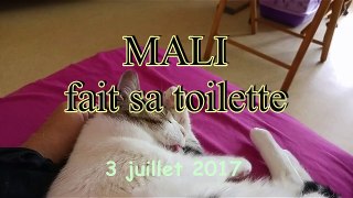 Mali fait sa toilette