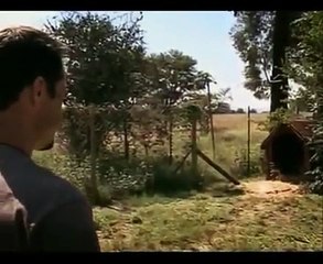 CONVIVIENDO CON LEONES Y HIENAS - DOCUMENTAL 2017