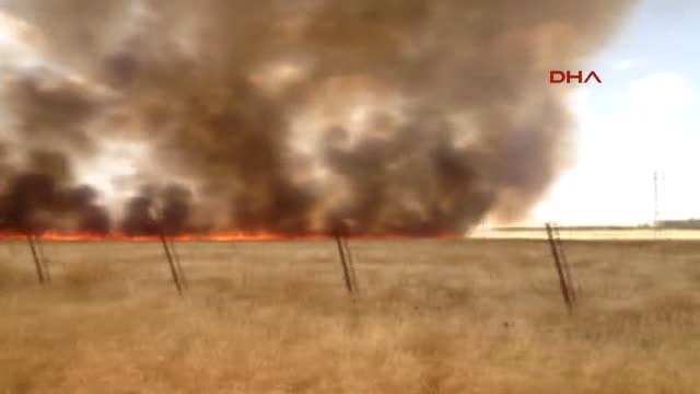 Mardin- Nusaybin'de Suriye Sınırında Bulunan Mayınlı Alanda Yangın Çıktı