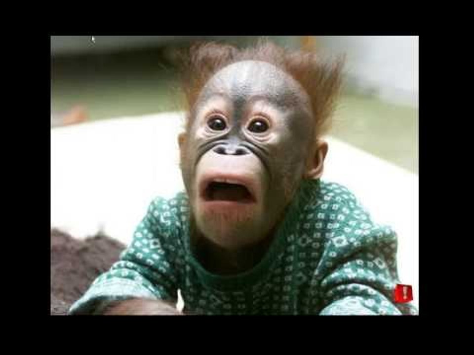 ಕನ್ನಡ ತಮಾಷೆ ಮಾತೆಗಳು,funny kannada speak