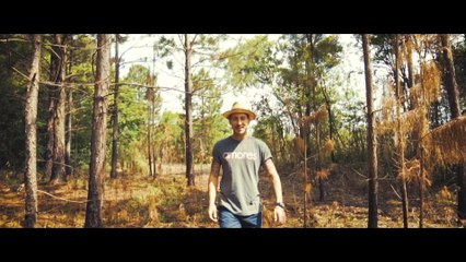 Leash - Tudo Pode Dar Certo