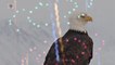 July 4th 'Miracle' Bald Eagle Rescued In Washington, D.C.