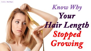 Know Why Your Hair Length is NOT Growing Anymore-Hair Expert Dino