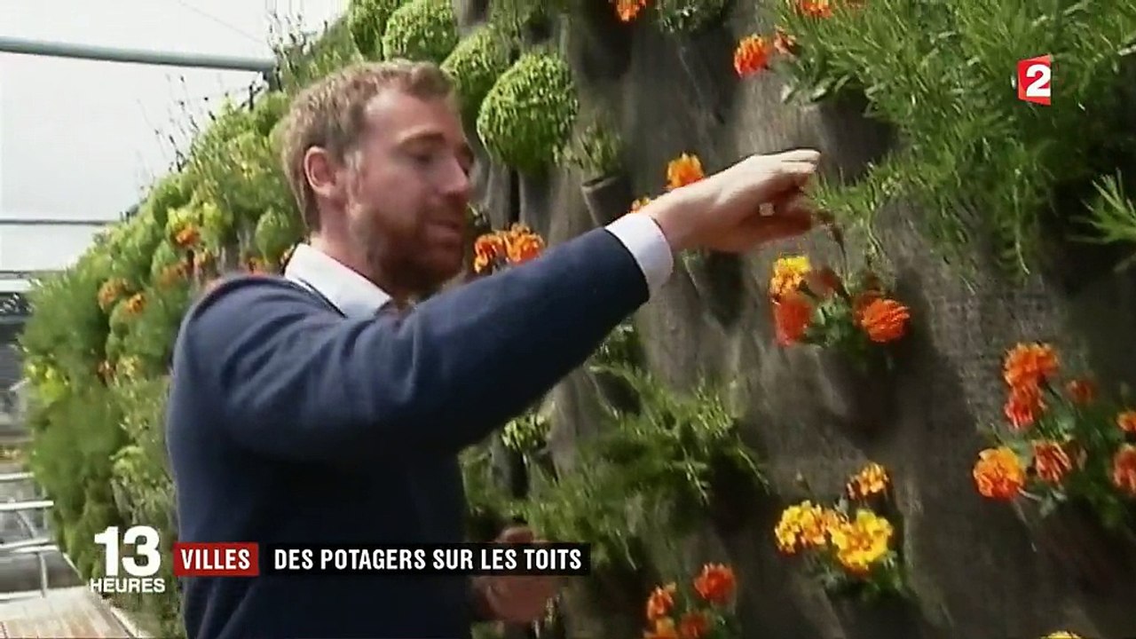 Tendance : des potagers sur les toits
