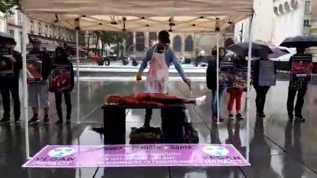 Faire rotir un humain au barbecue pour dénoncer la consommation de viandesky Ninja - Le chien furtif
