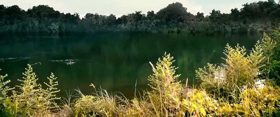 New Action Movie 2017  Top Action Movies 2017-Kung Fu Martial Arts Full Movie English HD,Tv cinema movies hd free fullhd