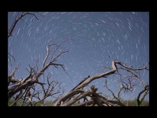 Starry Night in The Sonoran Desert