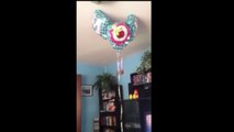 Funny Cats vs Balloons Compilation _ Cats vs Balloons in Epic Videos