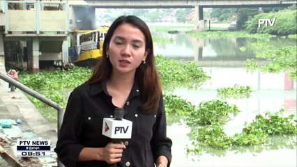 MMDA, other agencies launch Water Hyacinth Cleanup along Pasig River
