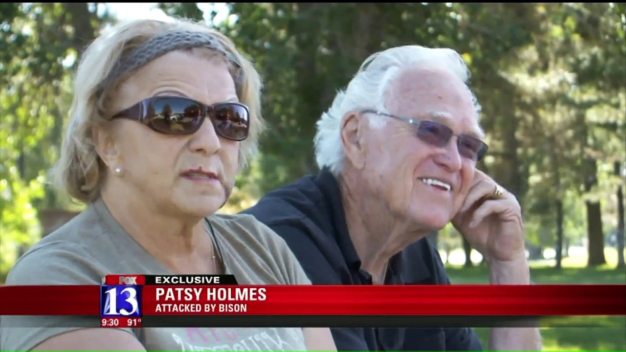 Newlyweds Attacked by Bison at Yellowstone National Park