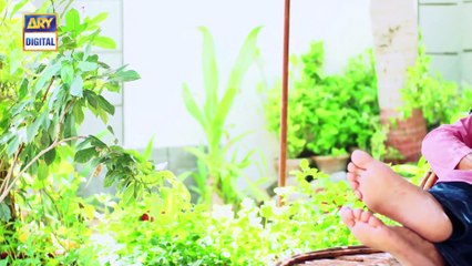 Mein Mehru Hoon Episode - 205 - 3rd July 2017