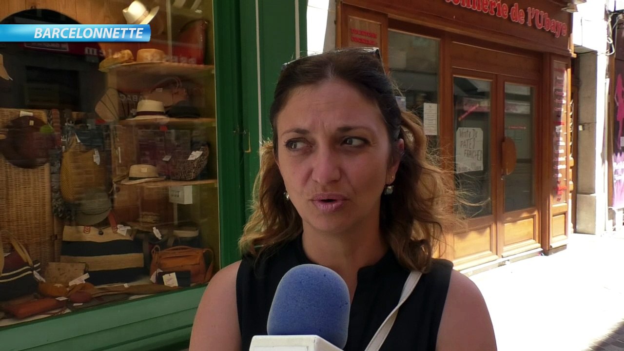 Barcelonnette : l'avis des habitants sur l'entrée de la ville dans le Parc National du Mercantour