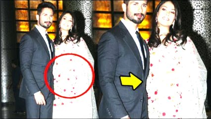 मीरा PREGnant शाहिद के घर फिर आएगा नन्हा मेहमान ,