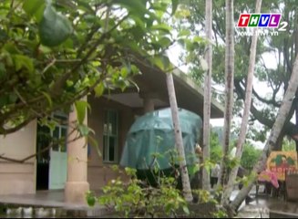 Hoa Trong Đêm Mưa - Tập 28 - Phim Đài Loan Lồng Tiếng