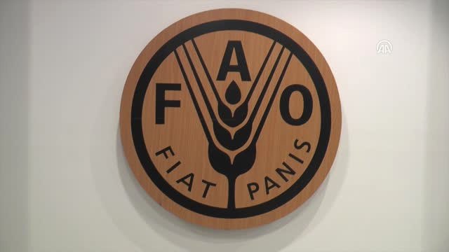 Bakan Çelik: Gerek Ifad Ile Gerek Fao Ile Son Derece Önemli Görüşmeler ve Anlaşmalar Yaptık