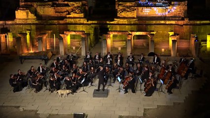 Passionné de musique classique, ce chien s'est placé au premier rang