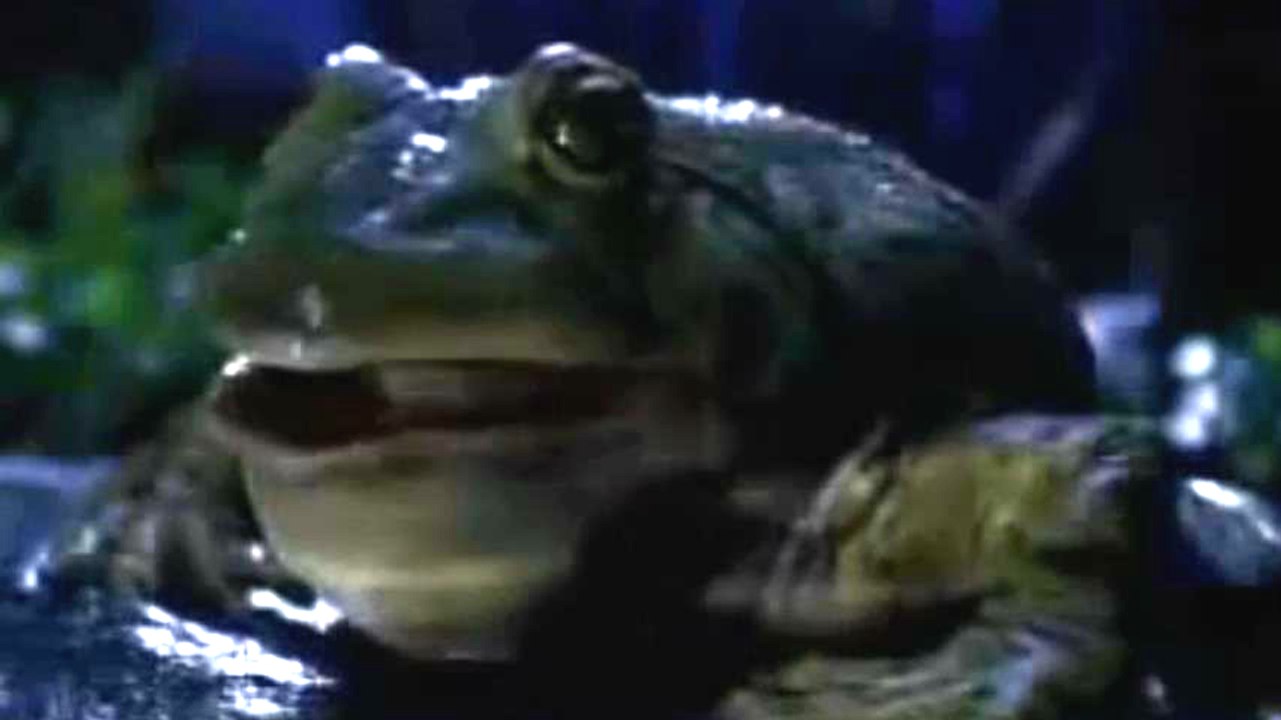 Bud-Weis-Er 1995 Super Bowl Commercial
