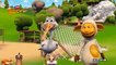 Kuzucuk  _ Ölçmek,Çizgi film izle animasyon egitici 2017