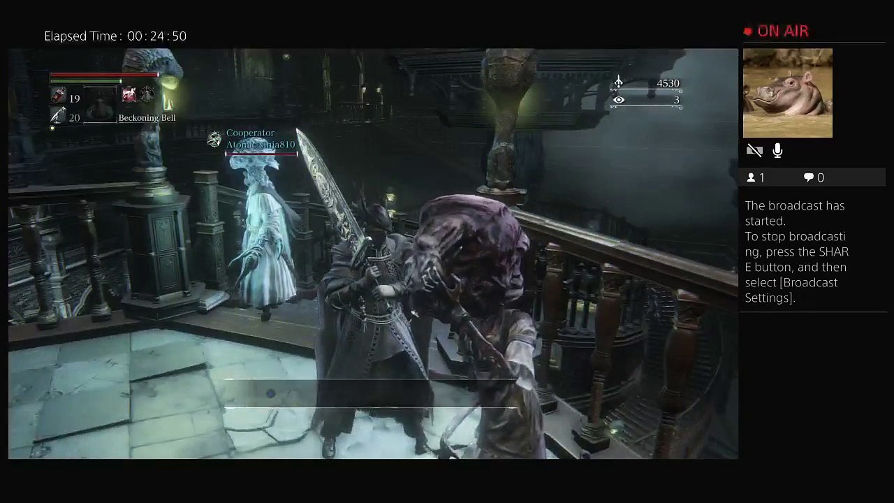 GodsGreen21's Bloodborne Platinum run. (12)