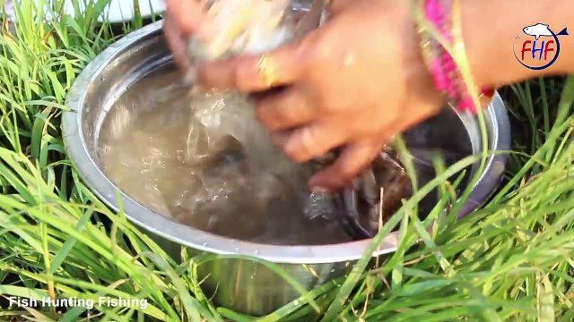 Crabs Pakora Spinach Fry Crispy Masala Crabs Pakoras Recipe Crab Claws Fried snack pakoda