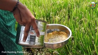 Sour Raw Mango Dal - Raw Mango Daal Recipes   Mamidikaya Pappu with Rice