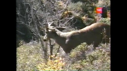 tierra enquevivimos carretera austral 25 años  P 3