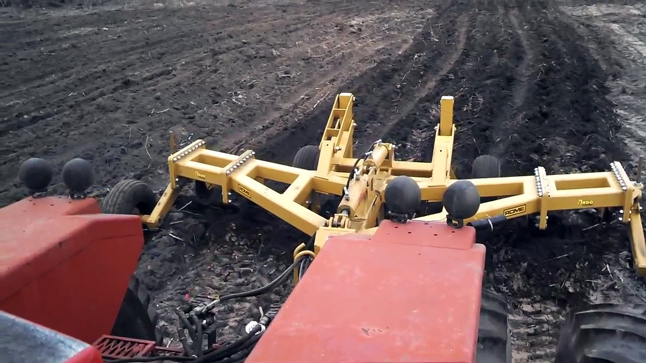 Big ripper