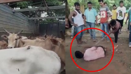 Gau-Rakshak : Truck driver carrying cattle assaulted in Assam | Oneindia News