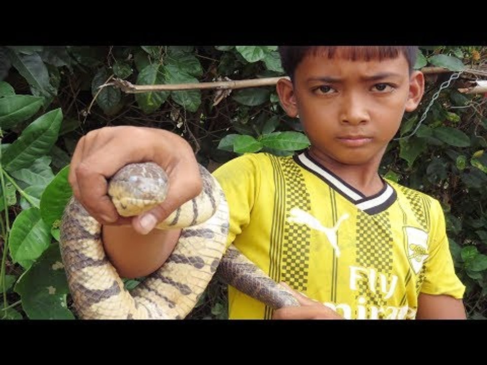 Creative Boy make an Amazing Snake Trap - Catching Snake with Simple Tricks