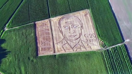 Face of Vladimir Putin has just appeared in a farmer's field