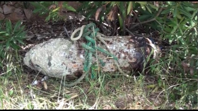 Ora News - Peshkatarët kapin me rrjetat e peshkimit predhën 300 kg