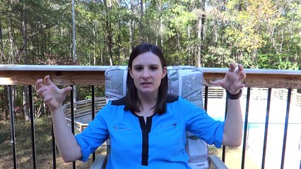 "Guaranteed" Dog Training?