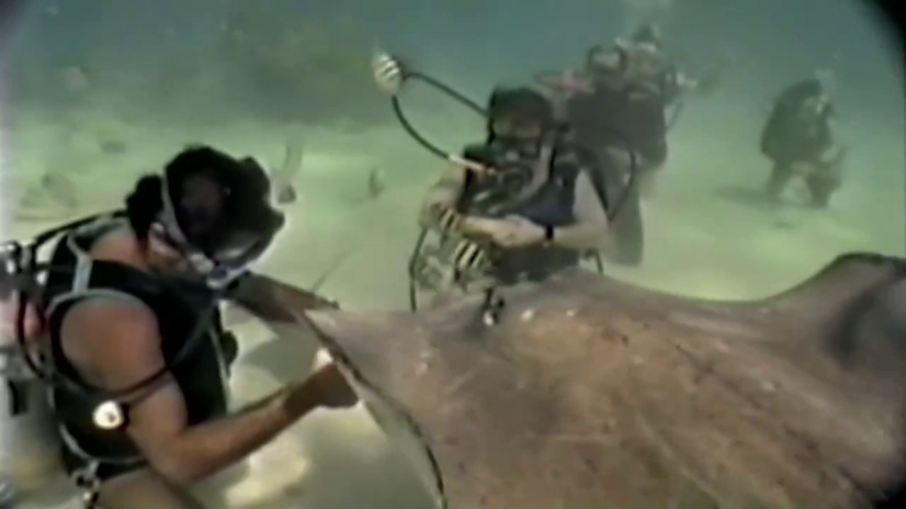 Quand les plongeurs ont des petits s soucis... Compilation de FAIL sous-marins