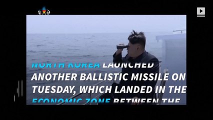 North Korea launches another missile into Japanese waters