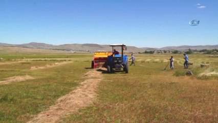 Gelişen Teknoloji Çiftçileri Ot Sırtlamaktan Kurtardı