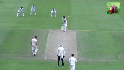 Mohammad Amir Bowled Trego Somerset County Cricket Club - YouTube