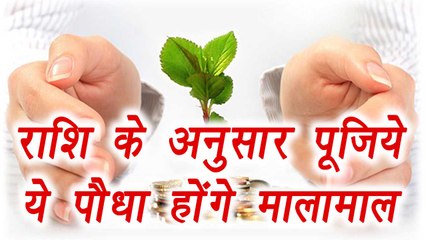 Plants lucky for your Zodiac Sign | Astro Tips | राशि के अनुसार पूजिये ये पौधा होंगे मालामाल | Boldsky