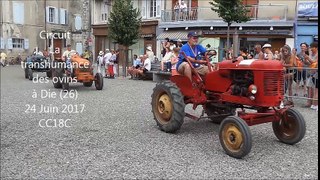 La transhumance des ovins à Die 2017